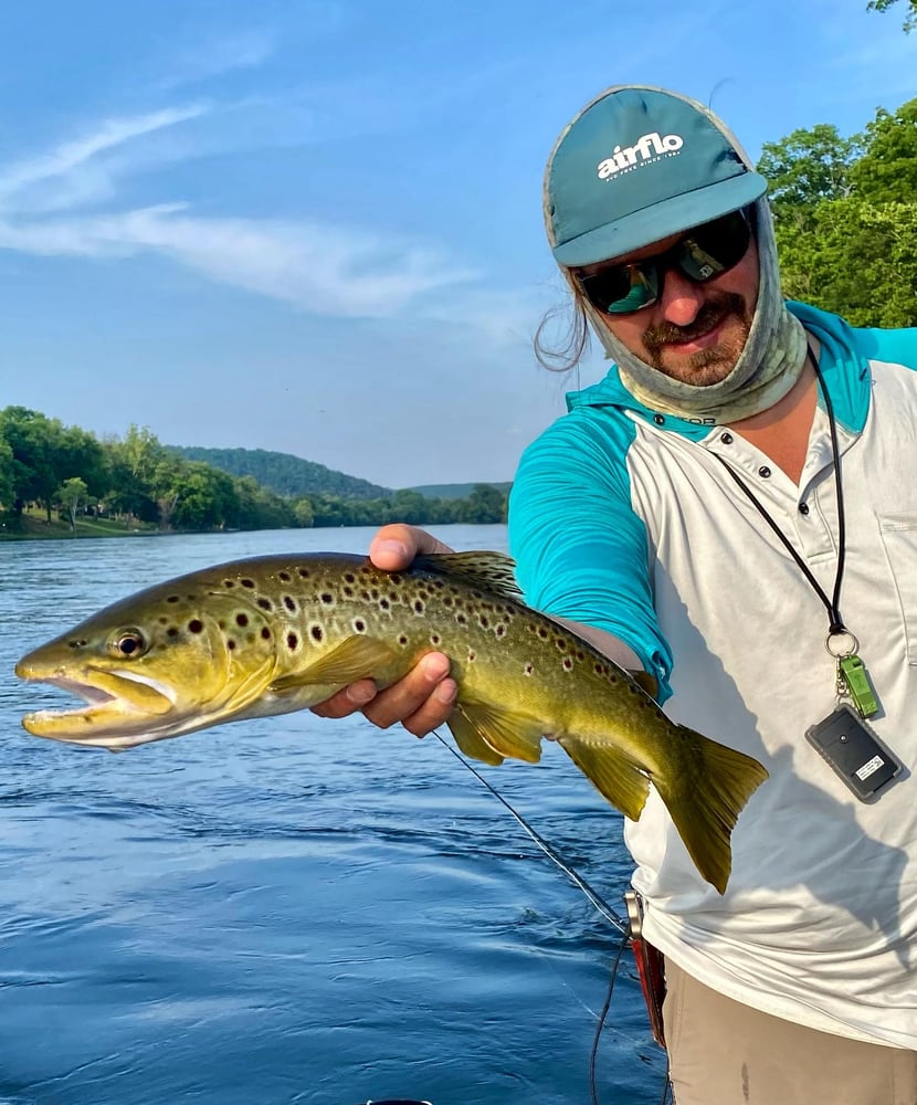 Ozark Fly Fishing Day Trips In Flippin