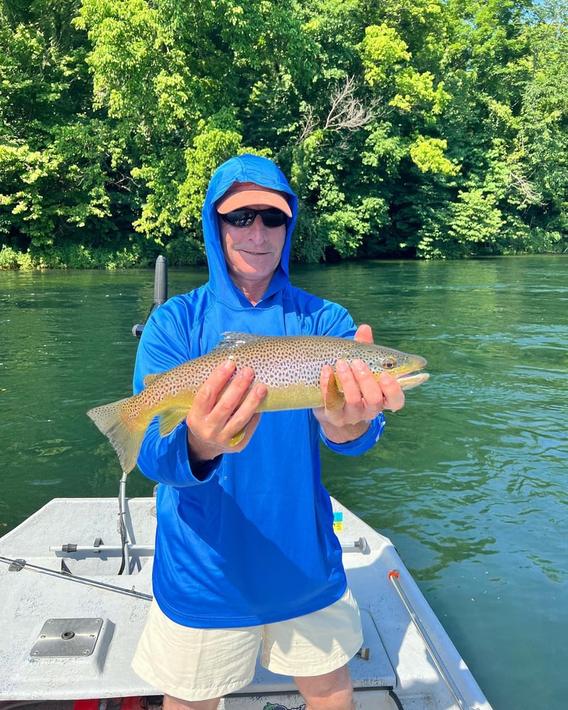 Ozark Fly Fishing Day Trips In Flippin