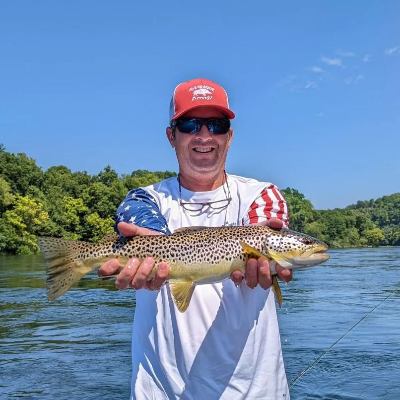 Ozark Fly Fishing Day Trips In Flippin