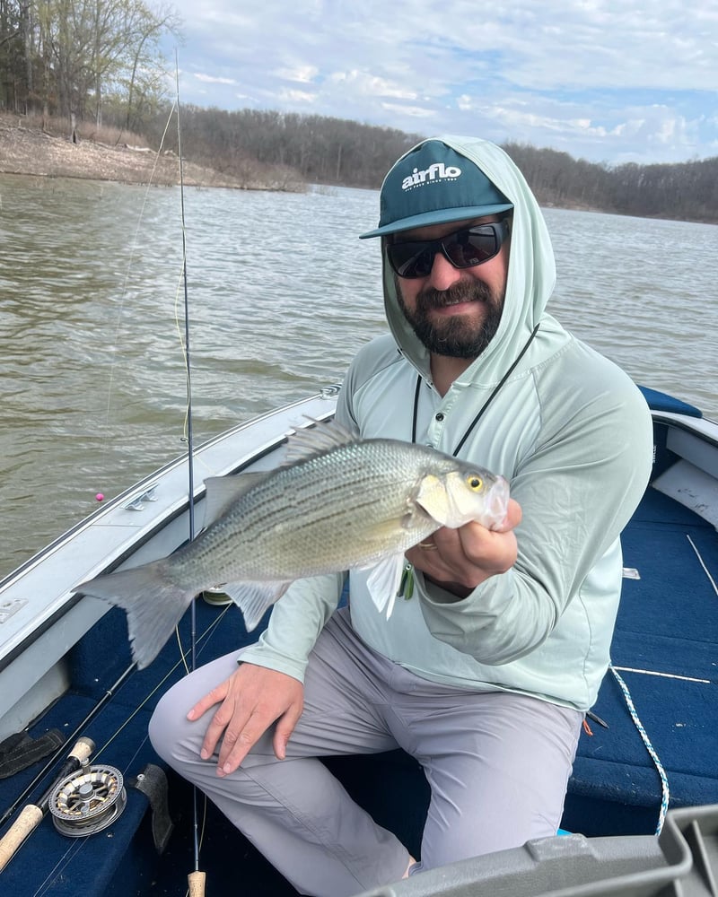 Ozark Fly Fishing Day Trips In Flippin