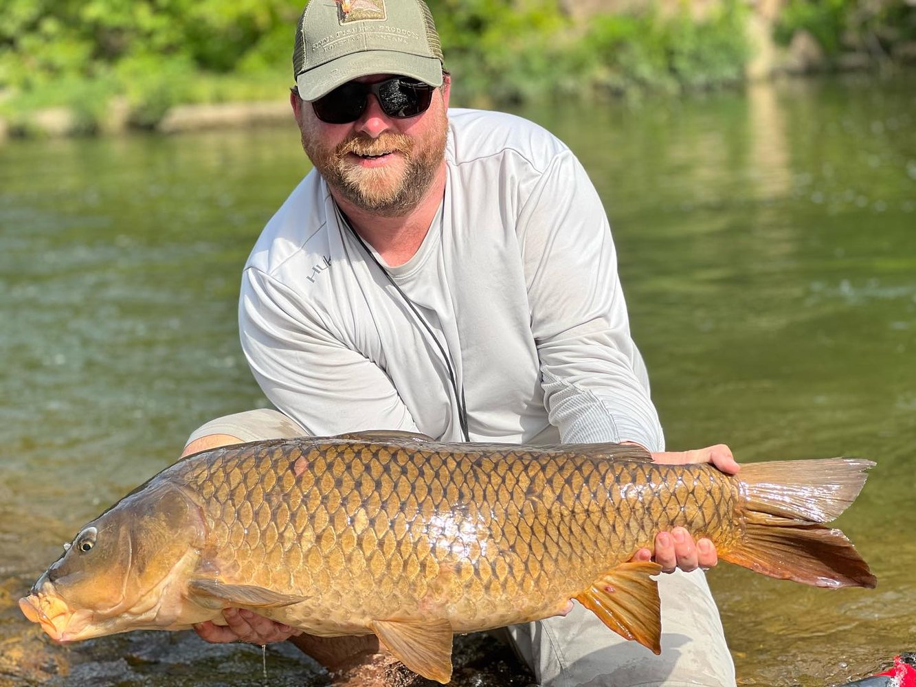 Ozark Fly Fishing Day Trips In Flippin