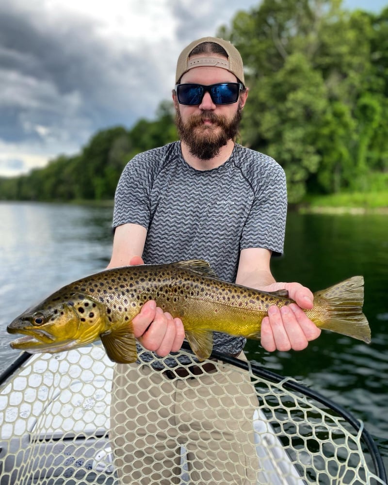 Ozark Fly Fishing Day Trips In Flippin