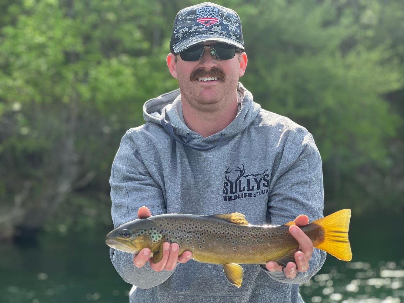 Ozark Fly Fishing Day Trips In Flippin