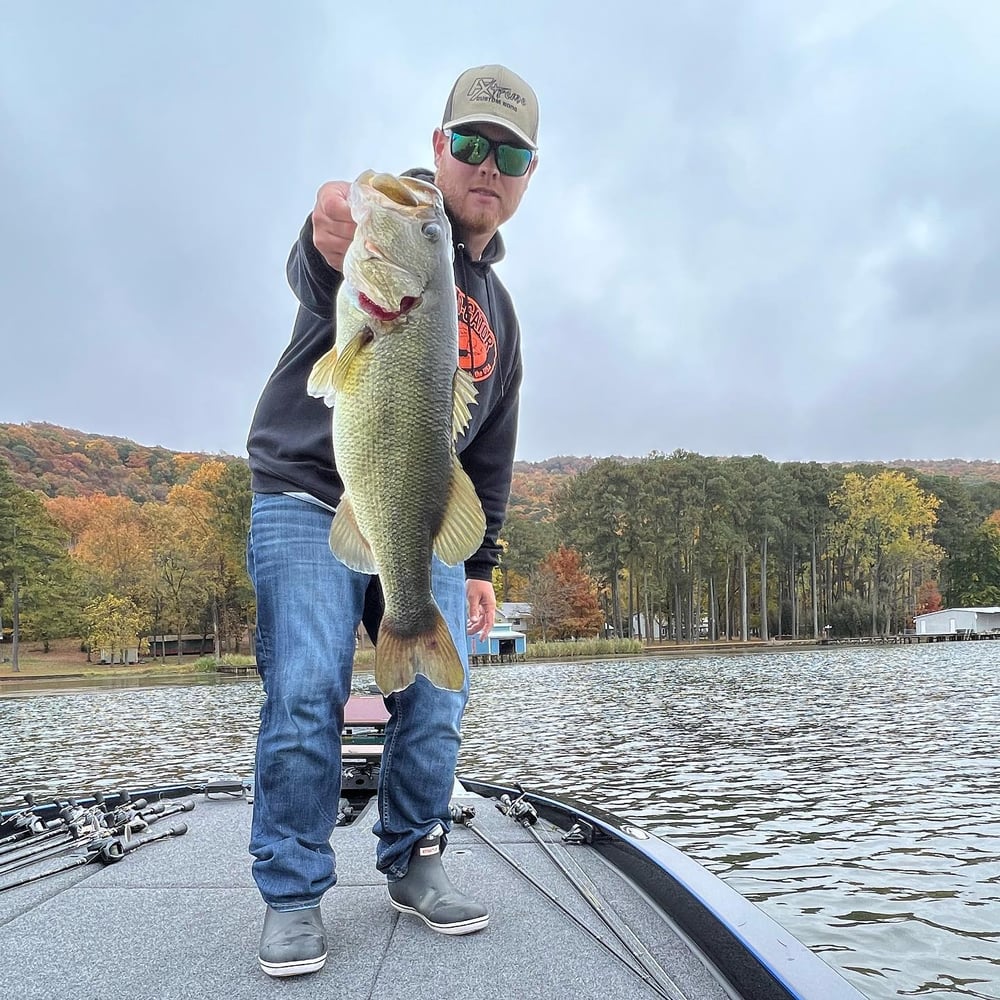 Fishing Lake Of The Ozarks With A Pro In Lake Ozark