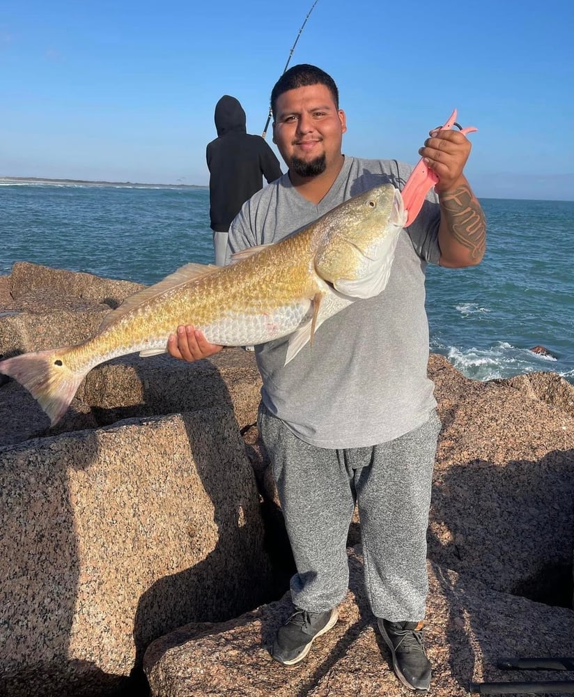 Bull Red Jetty Adventure In Port Aransas