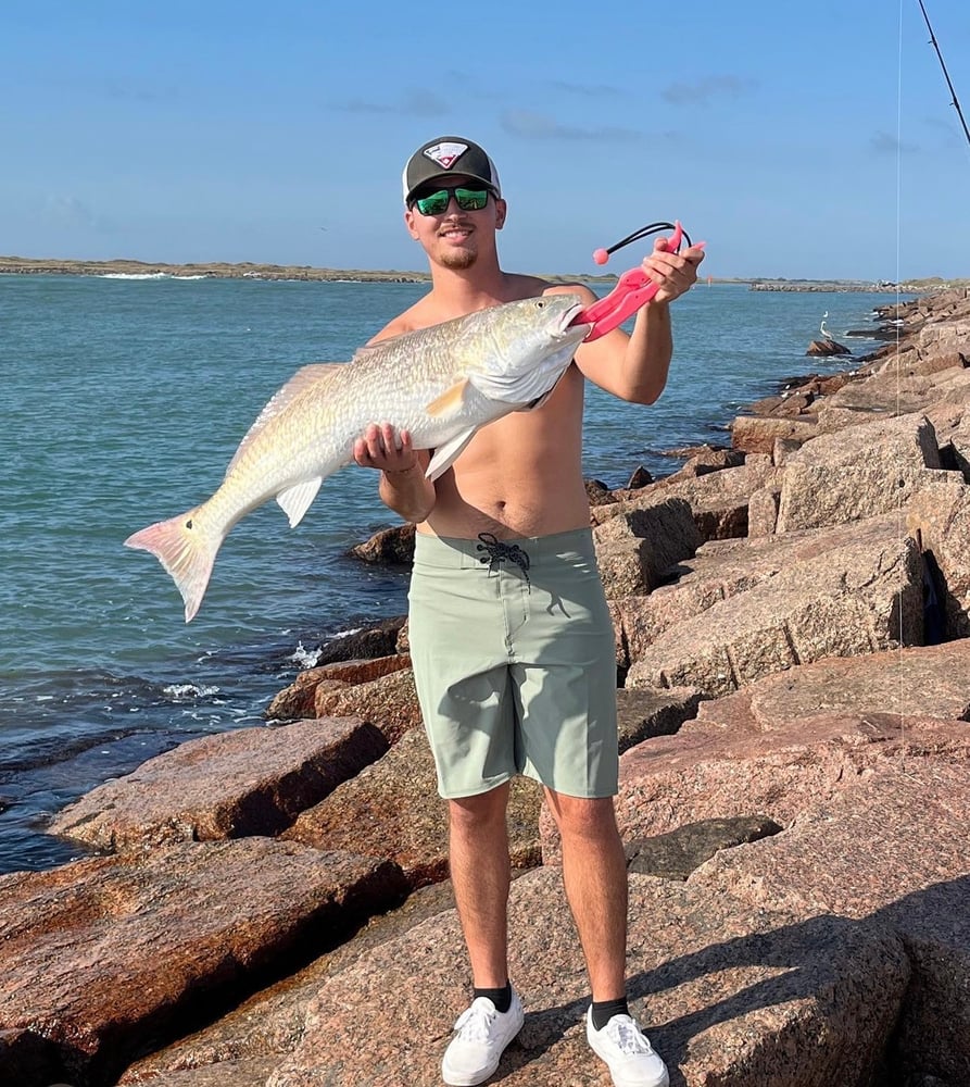 Bull Red Jetty Adventure In Port Aransas