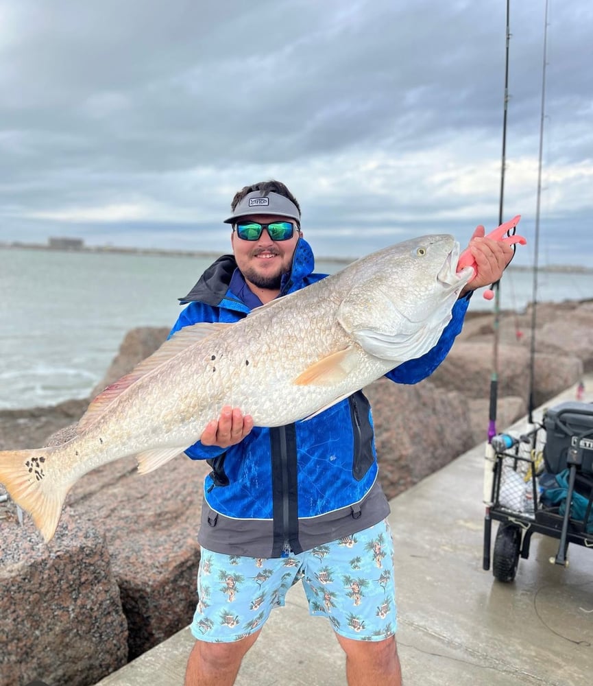 Bull Red Jetty Adventure In Port Aransas