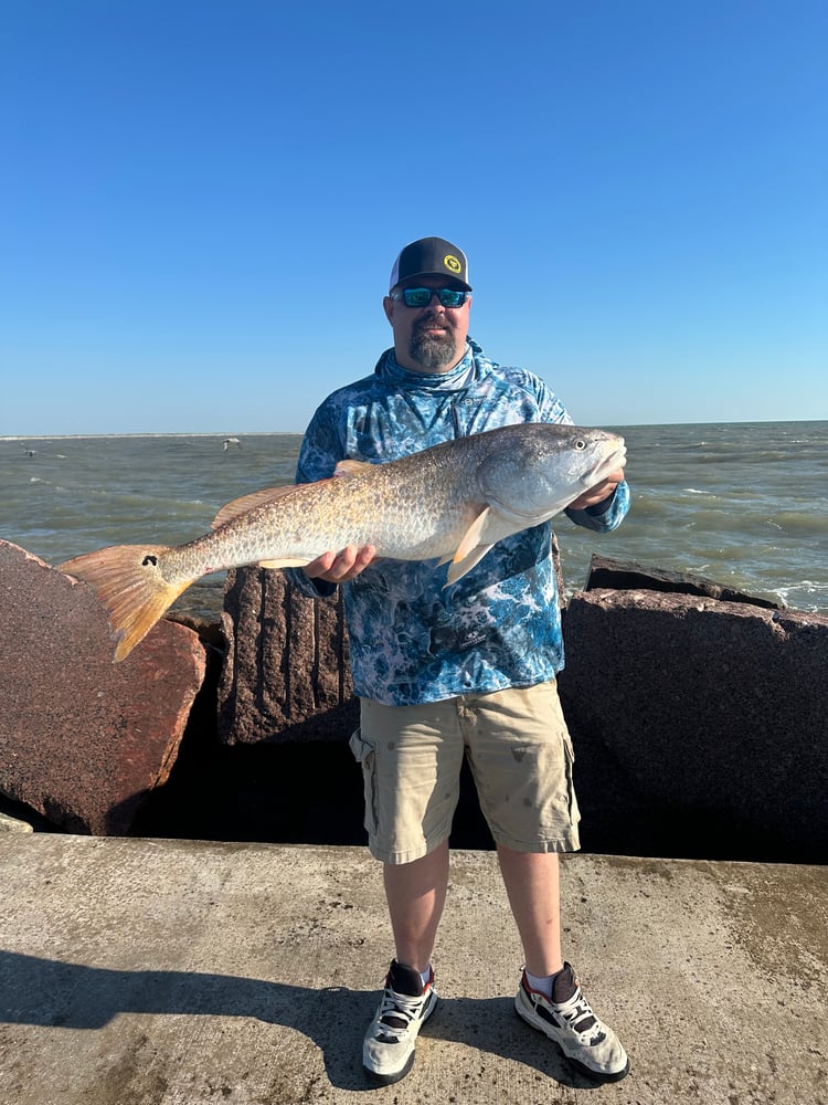 Bull Red Jetty Adventure In Port Aransas