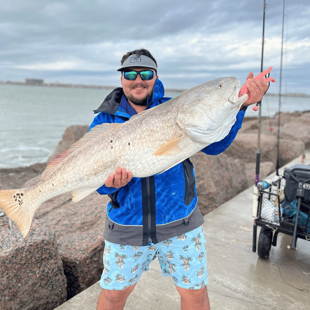 Bull Red Jetty Adventure In Port Aransas