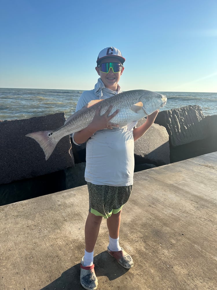 Bull Red Jetty Adventure In Port Aransas