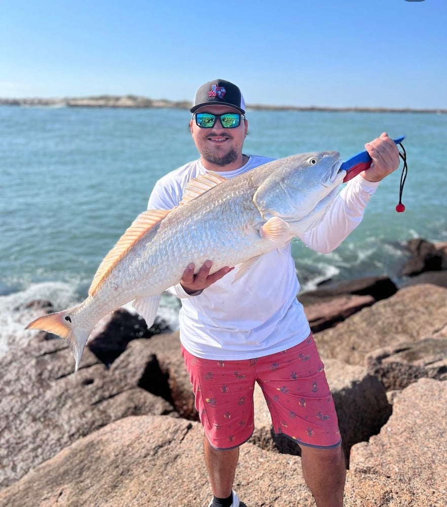 Bull Red Jetty Adventure In Port Aransas