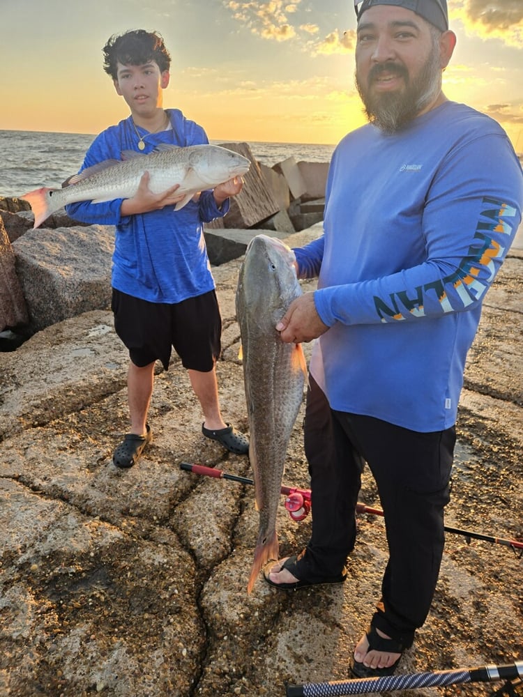 Bull Red Jetty Adventure In Port Aransas