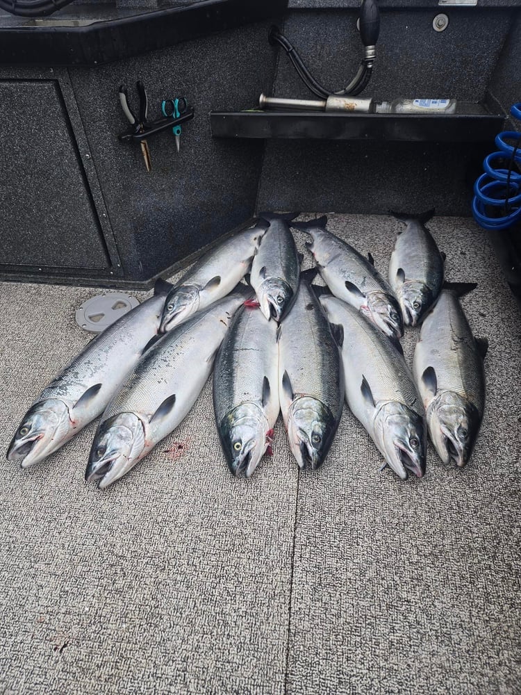 Washington Steelhead And Salmon Drift Boat Trips In Everett