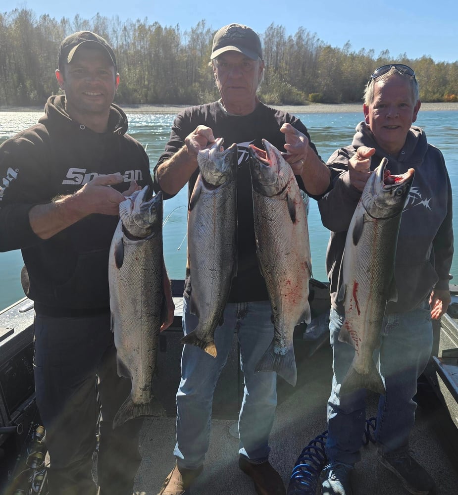 Washington Steelhead And Salmon Drift Boat Trips In Everett