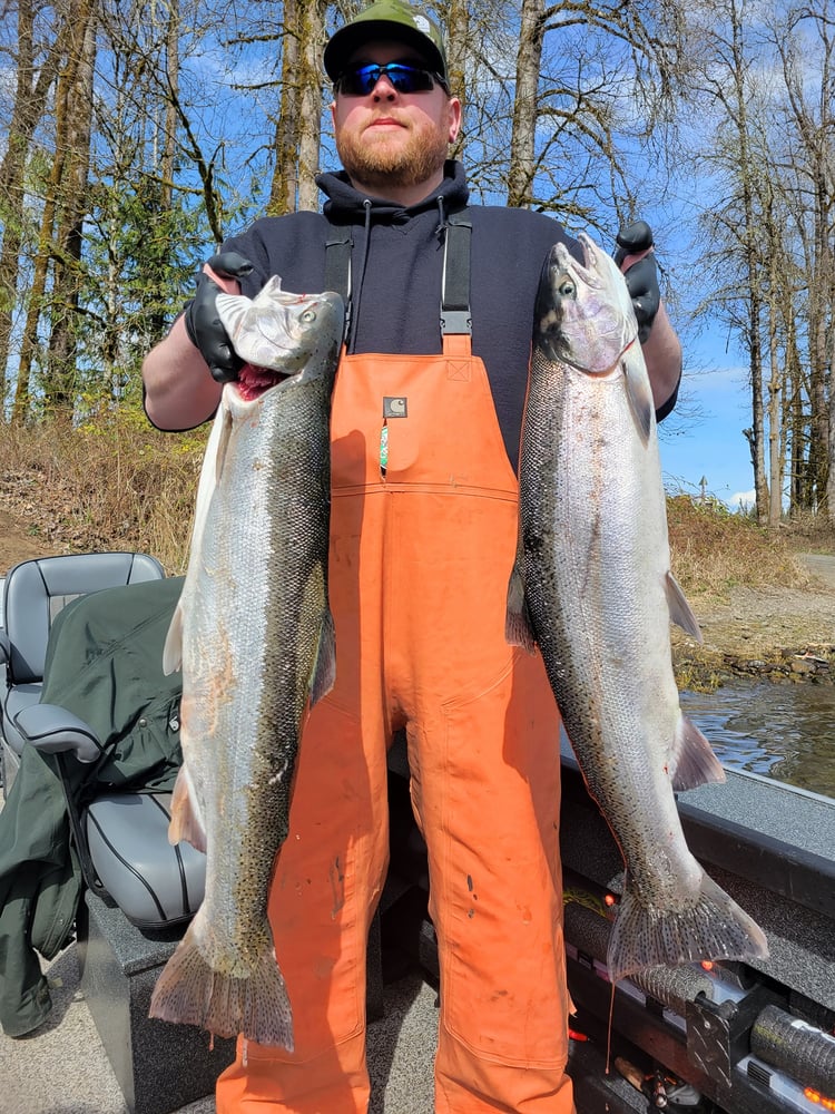 Washington Steelhead And Salmon Drift Boat Trips In Everett