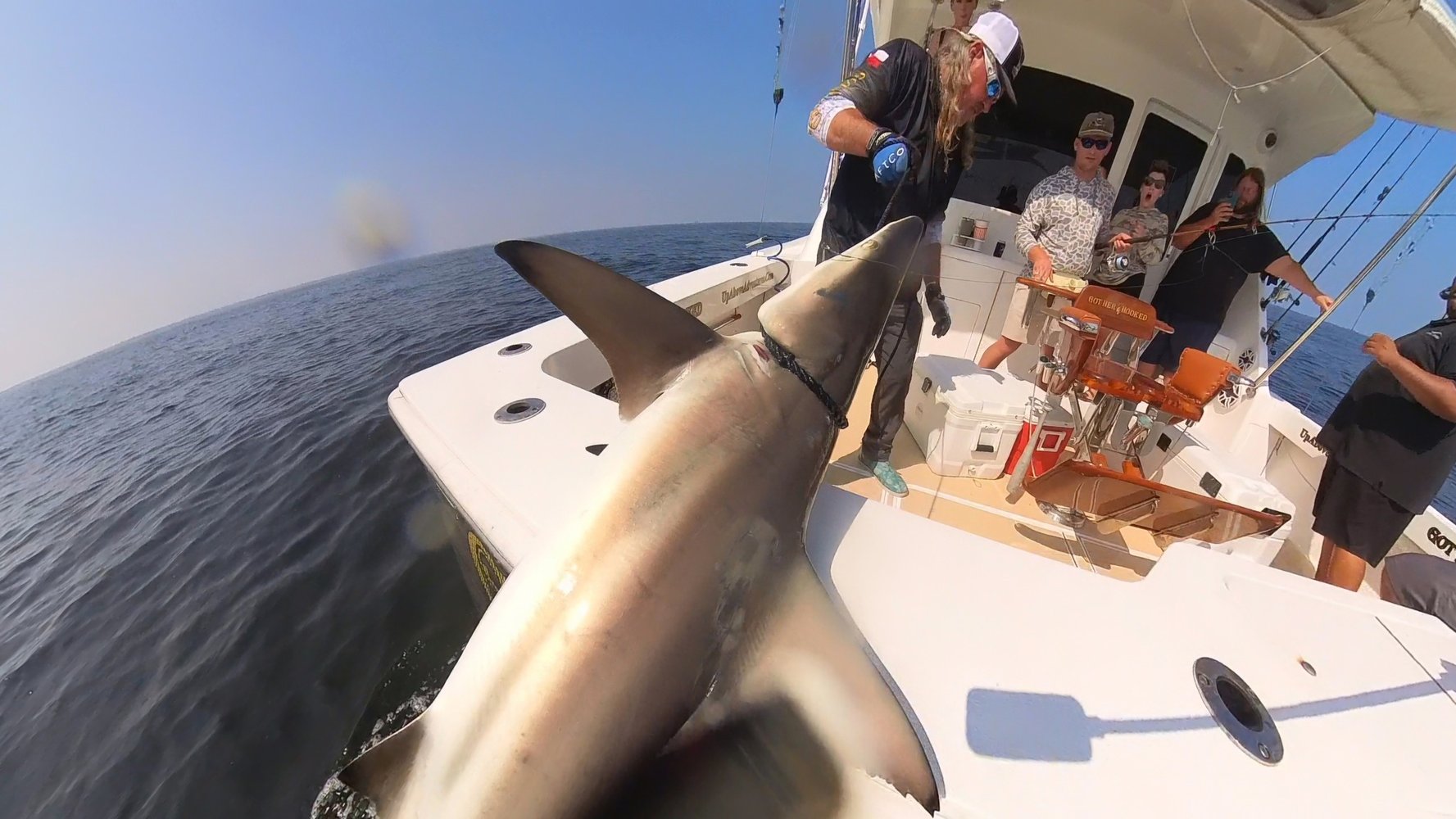 4 Hour Jetty/Inshore With Chef In Galveston