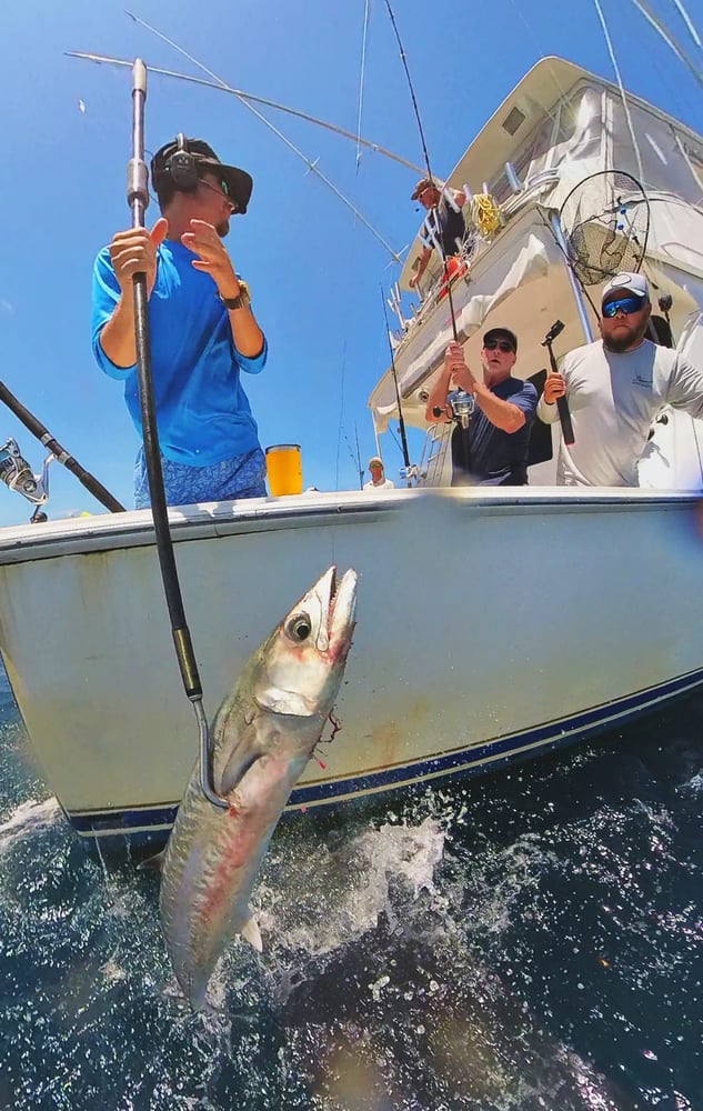 12 Hour Deep Sea With Chef In Galveston