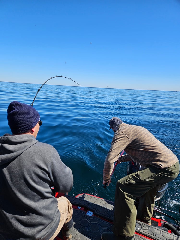 Lake Trout Trolling On Lake Ontario In Kingston