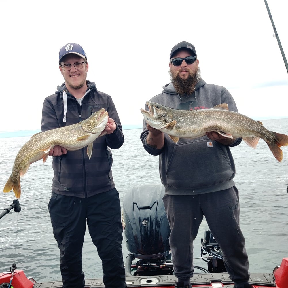 Lake Trout Trolling On Lake Ontario In Kingston