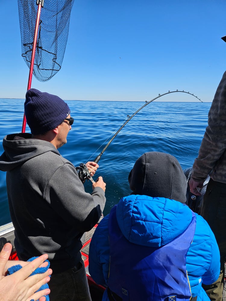 Lake Trout Trolling On Lake Ontario In Kingston