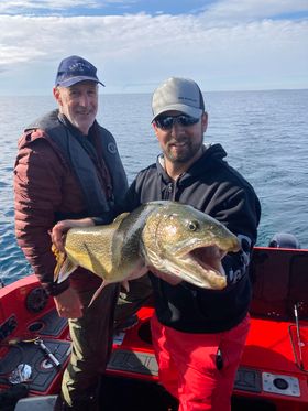 Lake Trout Trolling On Lake Ontario In Kingston