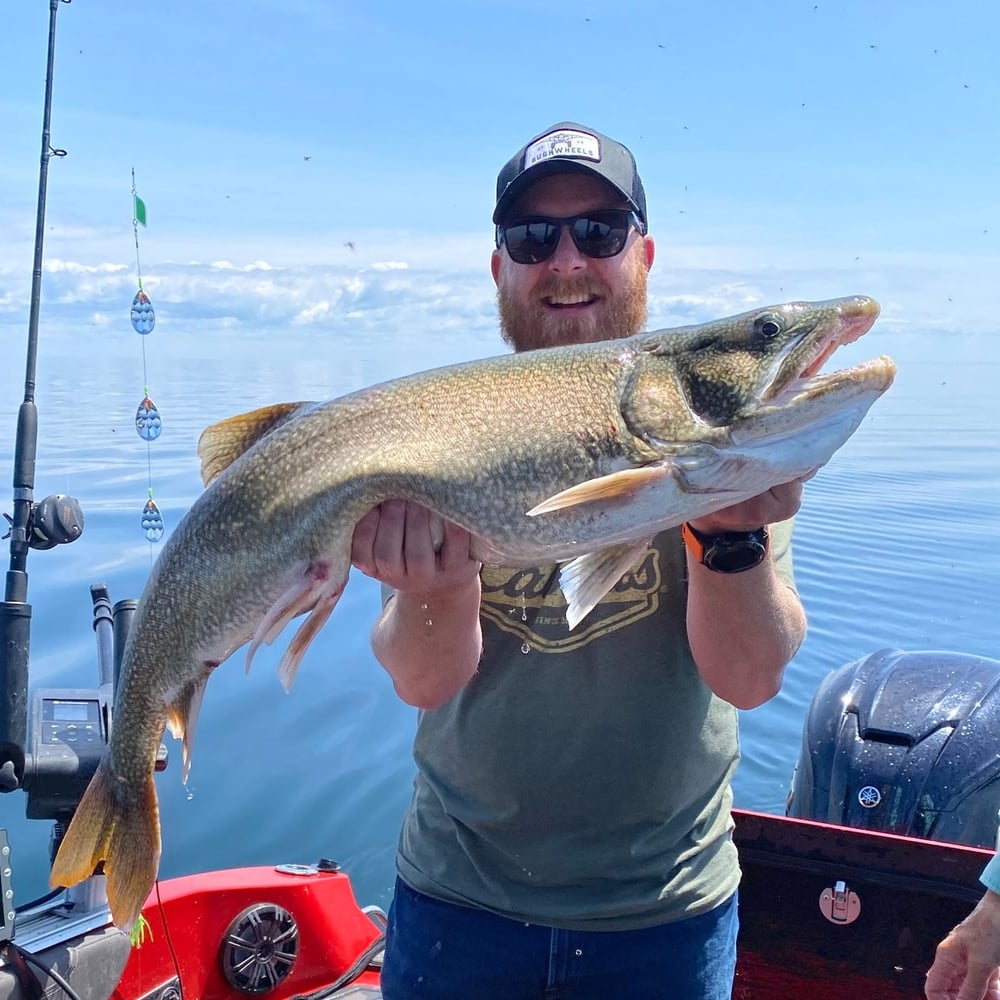 Lake Trout Trolling On Lake Ontario In Kingston