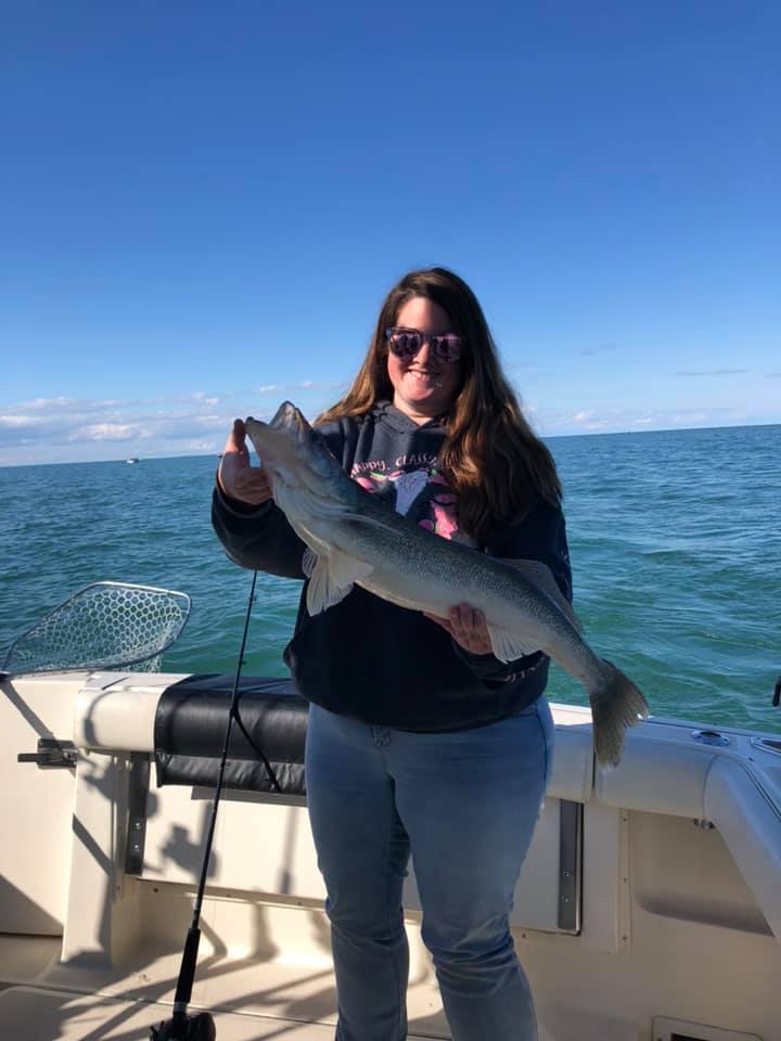 Lake Erie Walley & Steelhead Trolling In Grand River