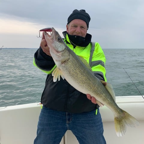 Lake Erie Walley & Steelhead Trolling In Grand River