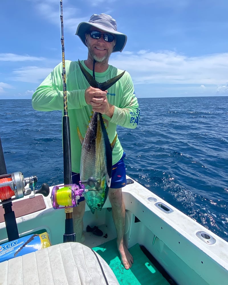 Fish Hunter In Playa Herradura