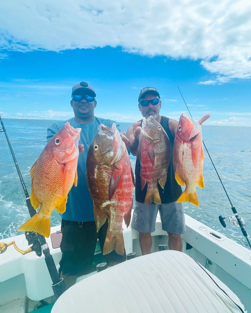 Fish Hunter In Playa Herradura