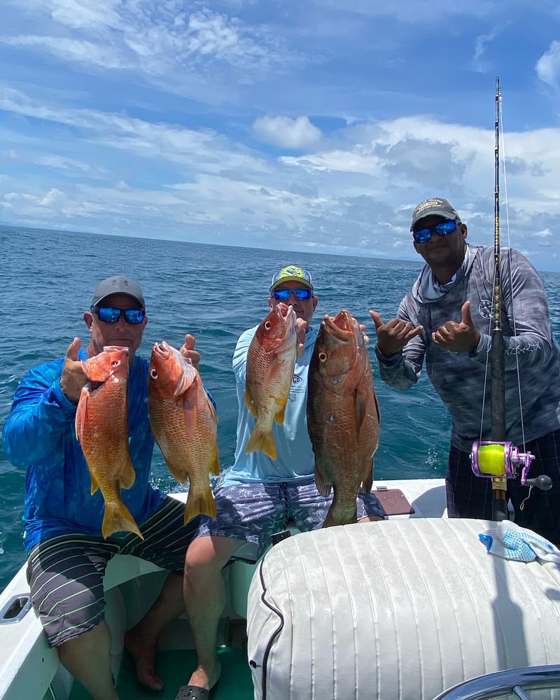 Fish Hunter In Playa Herradura