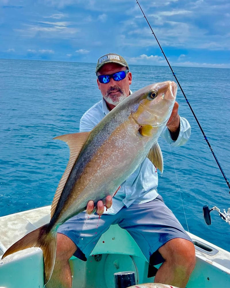 Fish Hunter In Playa Herradura