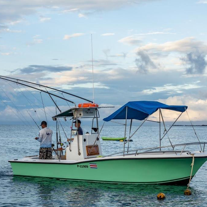 Fish Hunter In Playa Herradura