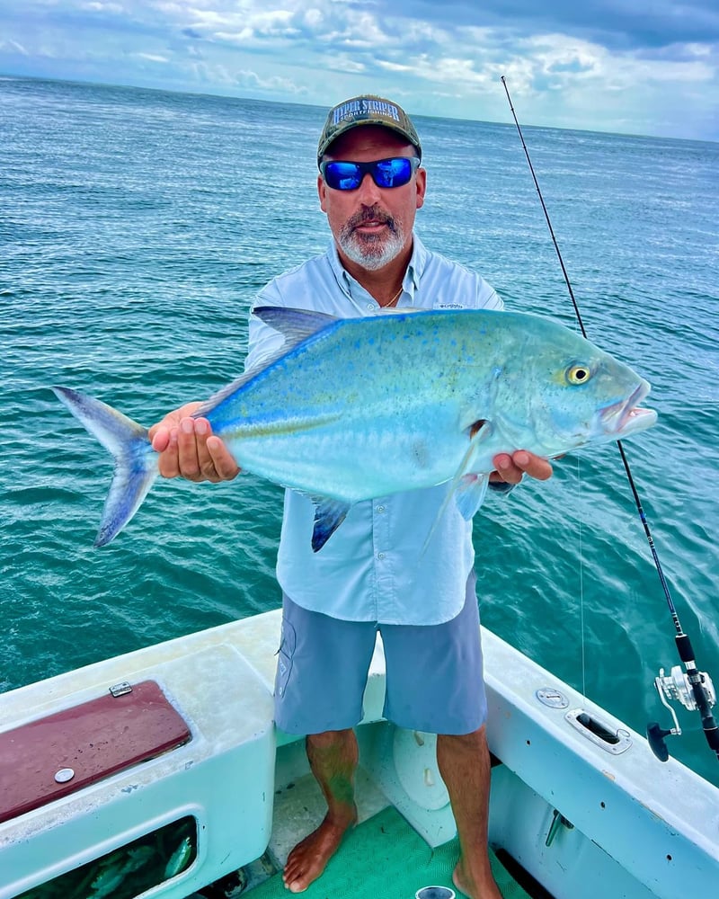 Fish Hunter In Playa Herradura