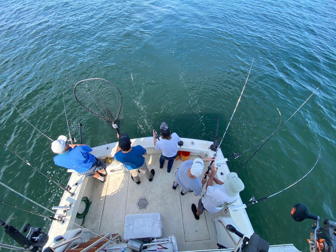 Lake Erie Premium Walleye Experience In Grand River