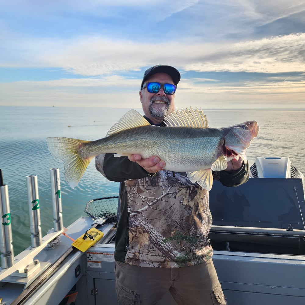 Lake Erie Walleye Fishing In Lorain