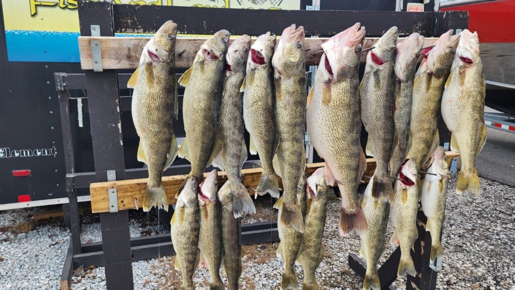 Lake Erie Walleye Fishing In Lorain