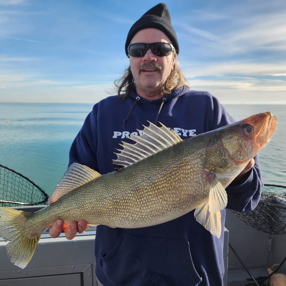 Lake Erie Walleye Fishing In Lorain