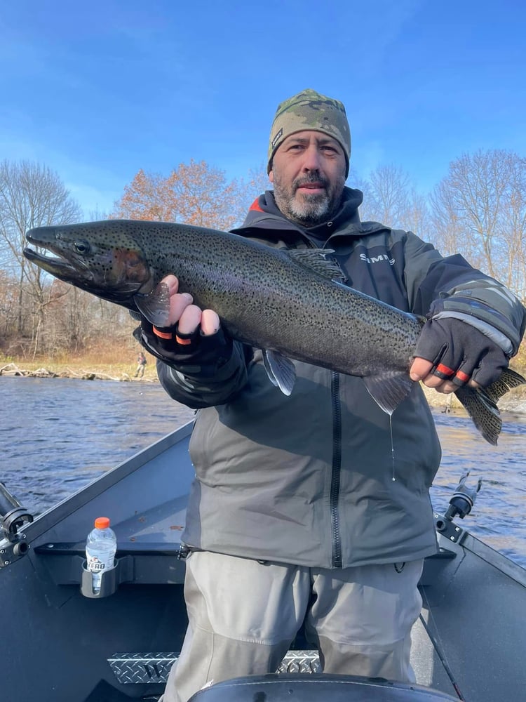 Steelhead Trip In Altmar