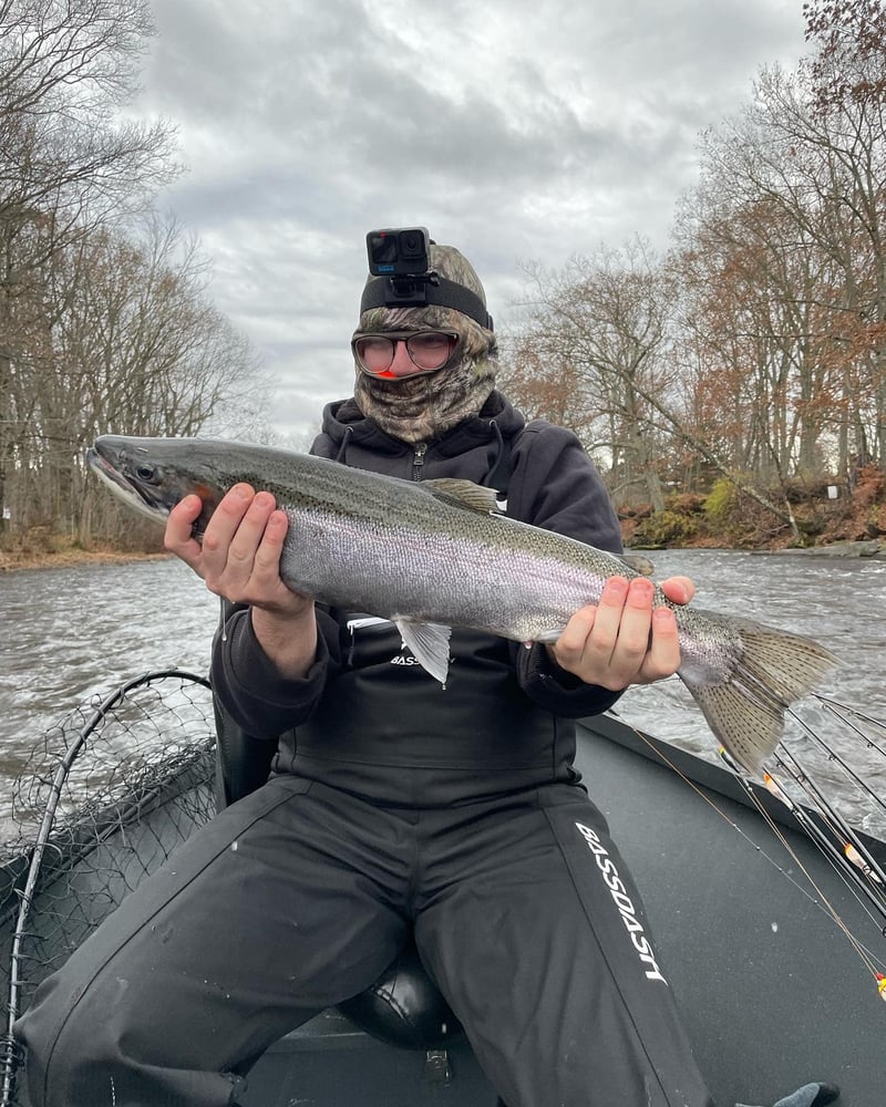 Steelhead Trip In Altmar