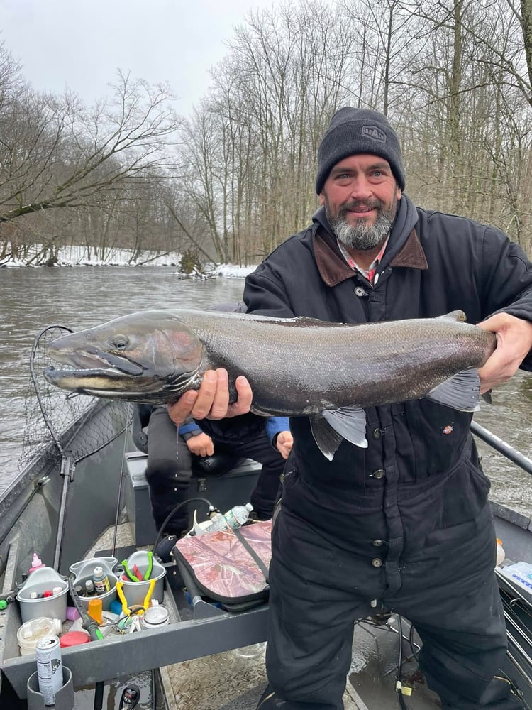 Steelhead Trip In Altmar