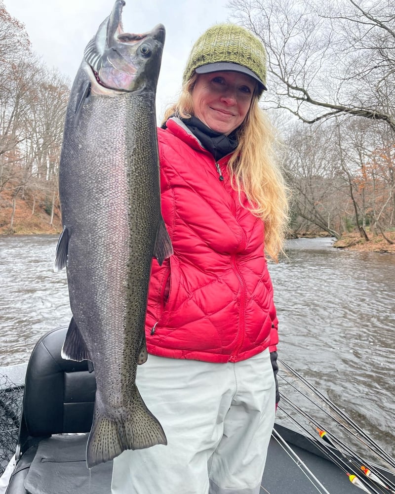 Steelhead Trip In Altmar