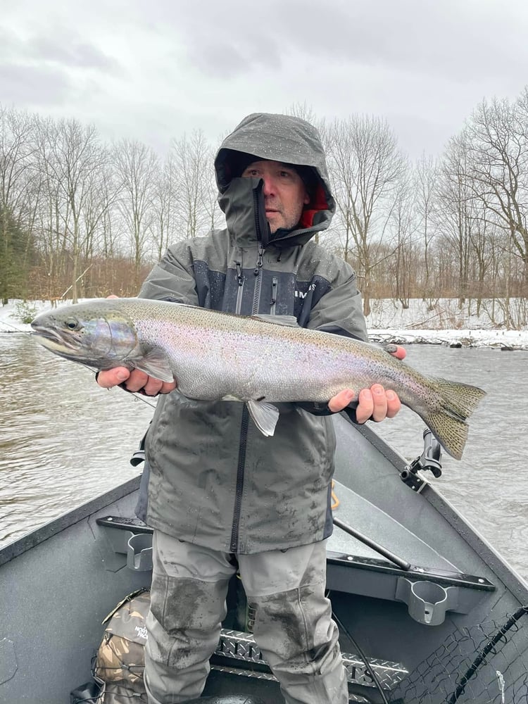 Steelhead Trip In Altmar