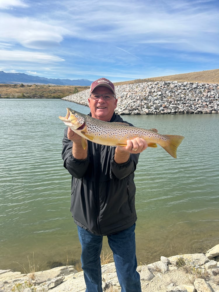 Half Day Trophy Brown Trout Excursion. Spin-cast Fishing In Cody