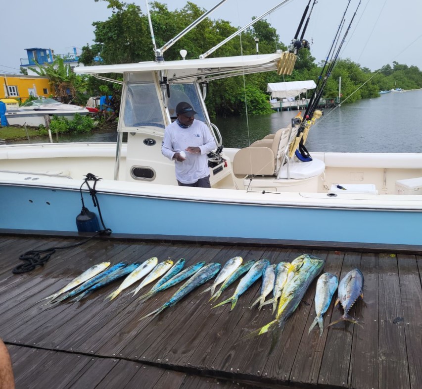 Offshore Fishing In Loiza