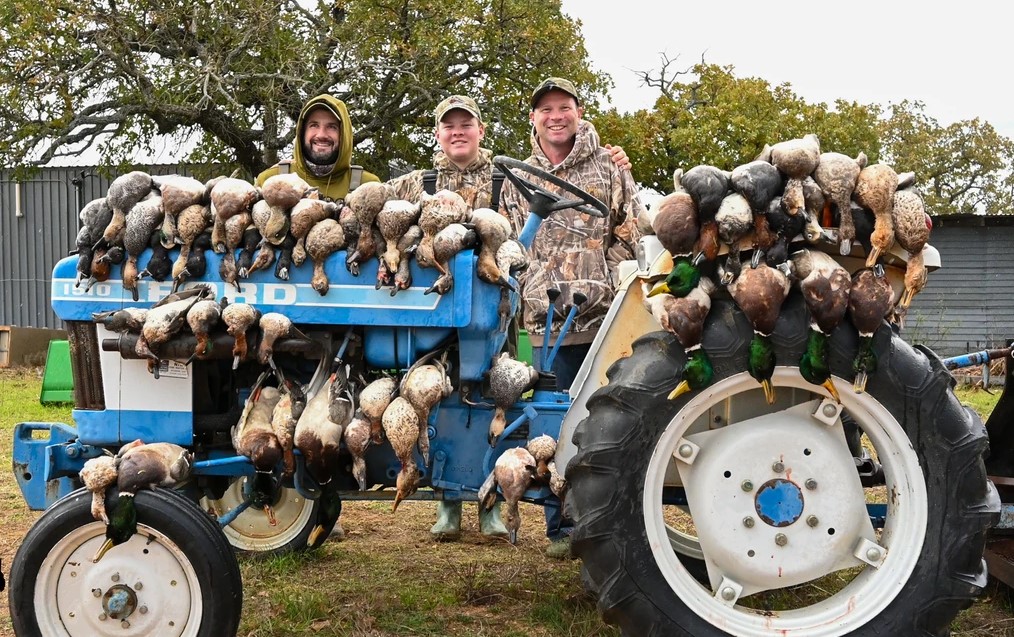 Central Texas Duck Hunts W/ Lodging In Eastland