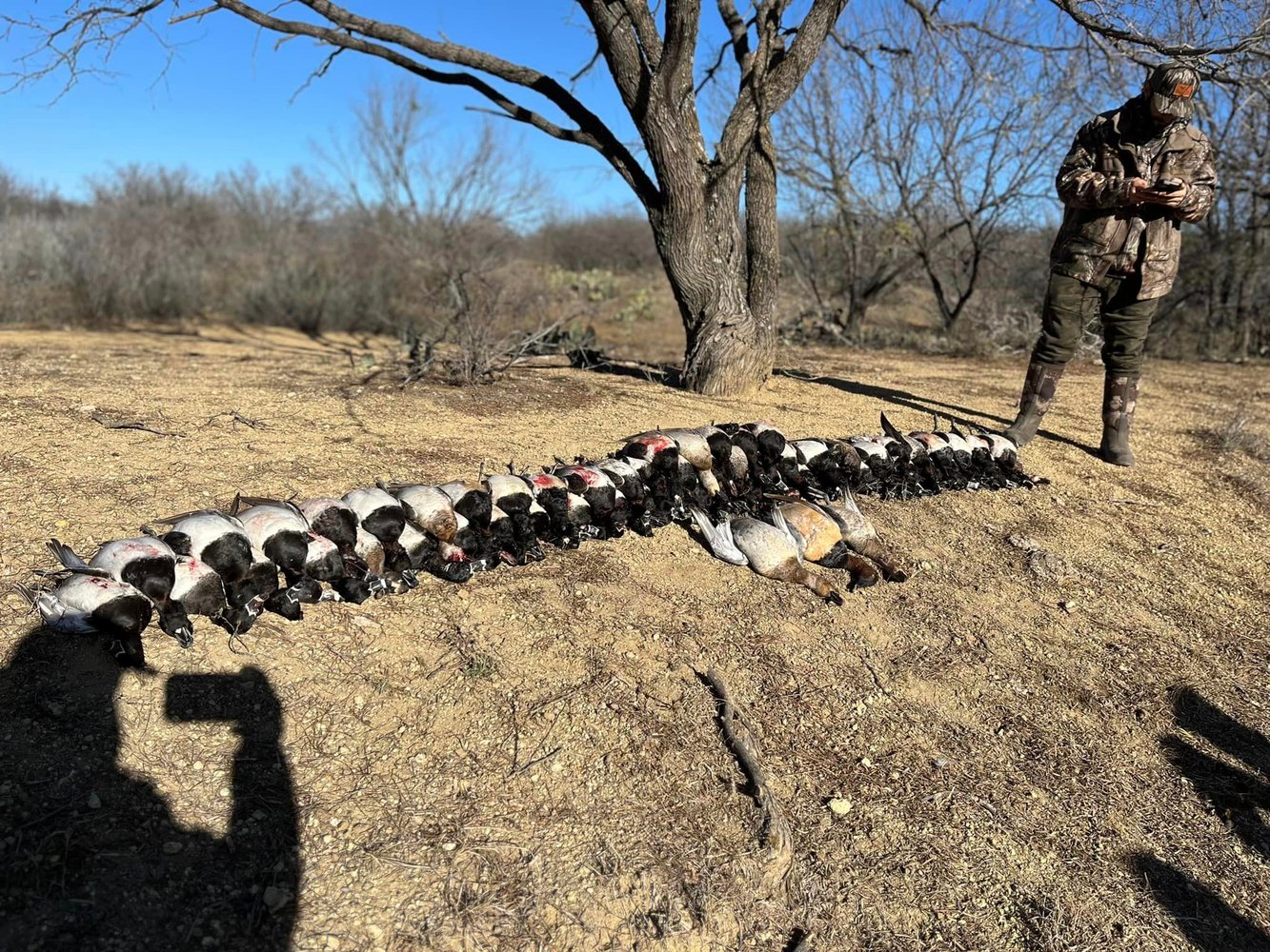 Central Texas Duck Hunts W/ Lodging In Eastland