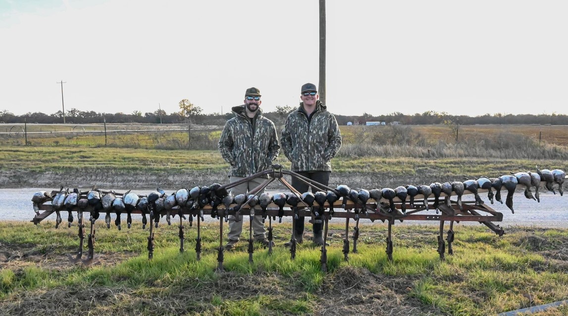 Central Texas Duck Hunts W/ Lodging In Eastland