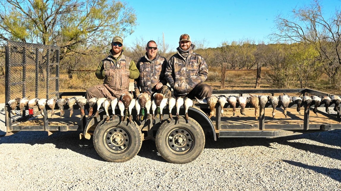 Central Texas Duck Hunts W/ Lodging In Eastland