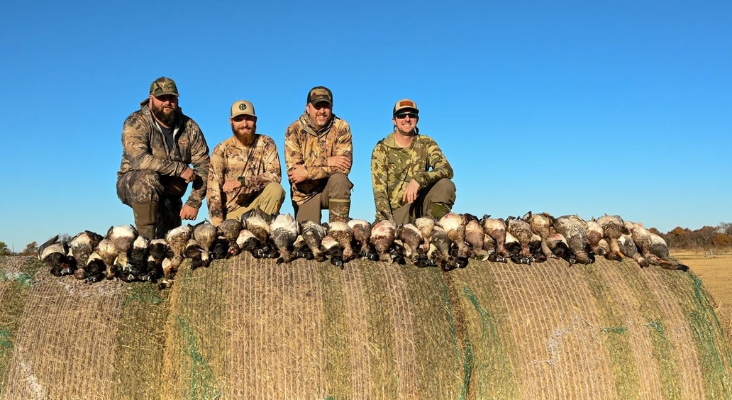 Central Texas Duck Hunts W/ Lodging In Eastland